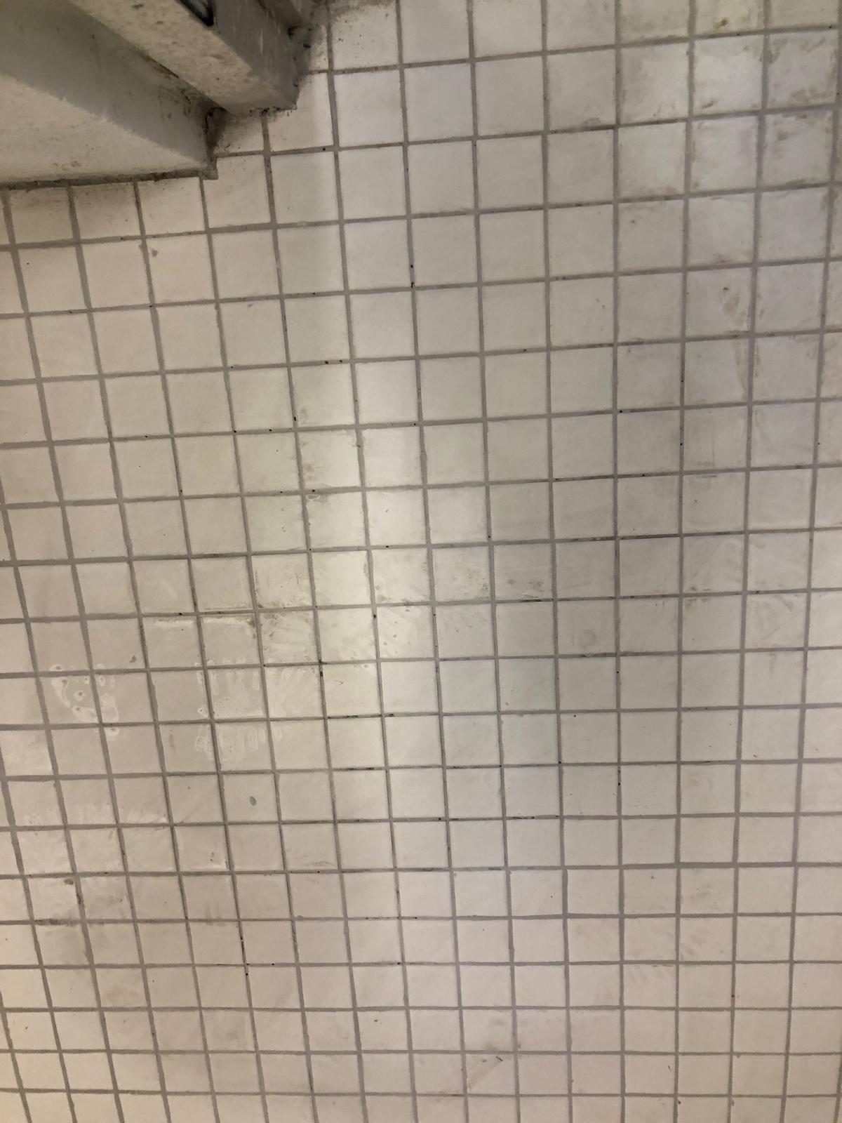 Visit our Facebook page @souzainstallation